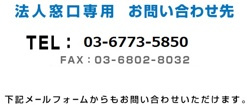 法人窓口専用 お問い合わせ先 TEL:03-3847-0576 FAX:03-3847-0576 下記メールフォームからもお問い合わせいただけます。